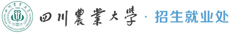 星空官方站登录入口