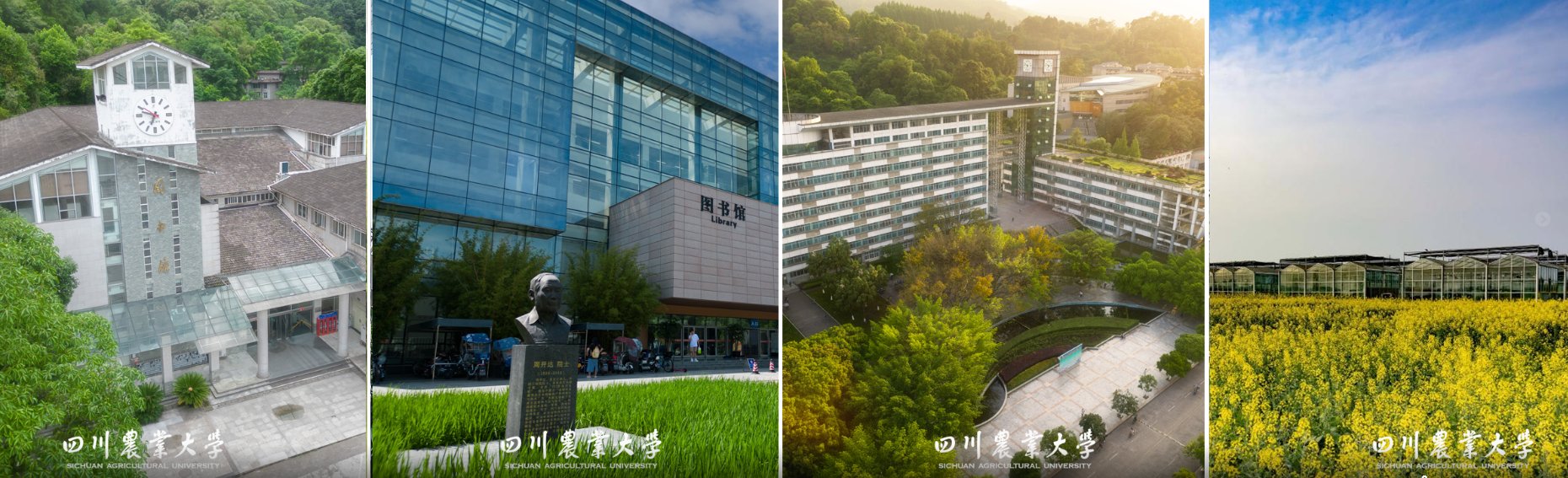 星空网（中国）新闻 / News